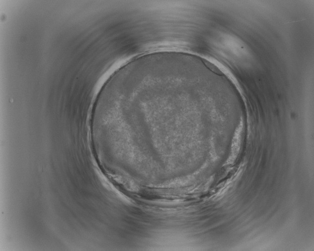 X0000073731341200608241247