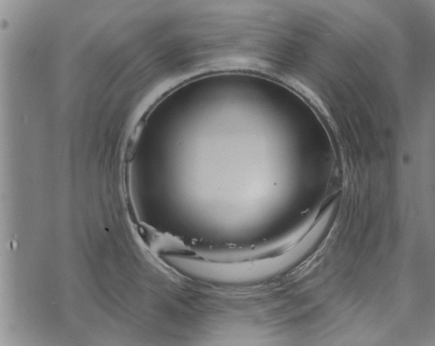 X0000073731342200608241247