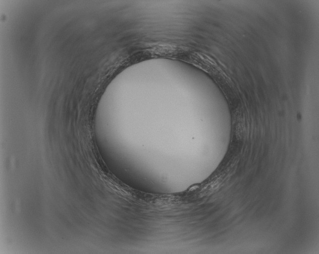 X0000073731345200608241246