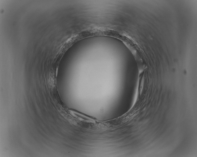 X0000073731348200608241246