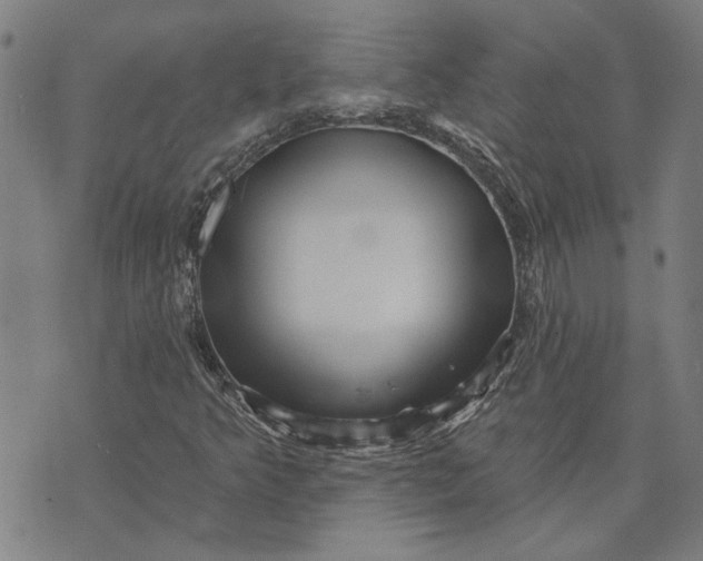 X0000073731349200608241246