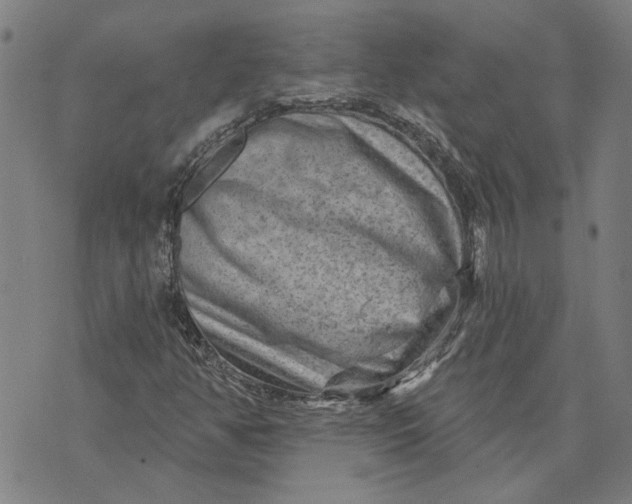 X0000073731350200608241246