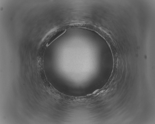 X0000073731351200608241246