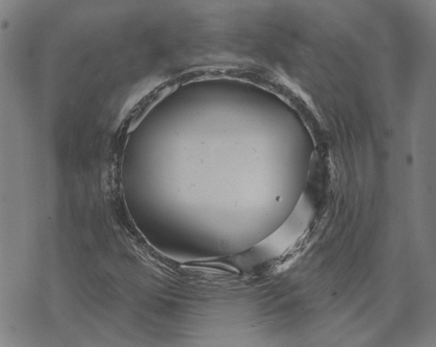 X0000073731352200608241246