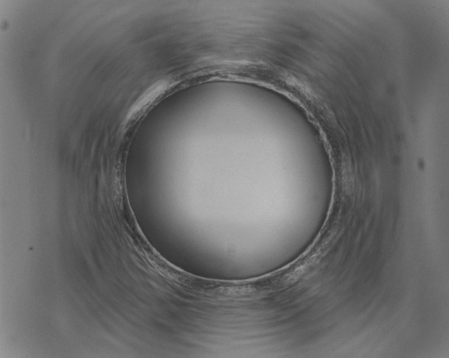 X0000073731354200608241246