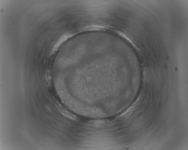 X0000073731355200608241246