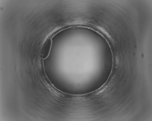 X0000073731356200608241246