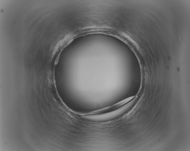 X0000073731357200608241246