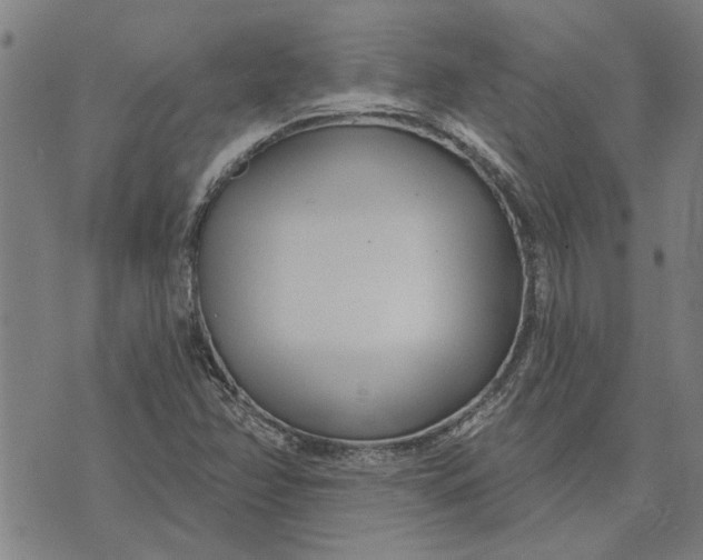 X0000073731358200608241246