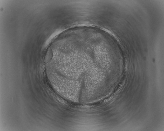 X0000073731359200608241246