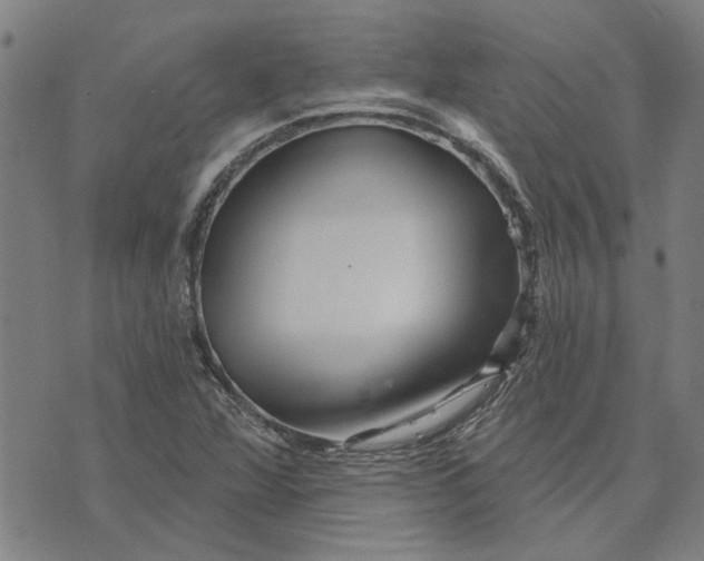 X0000073731360200608241246