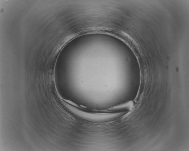 X0000073731361200608241246