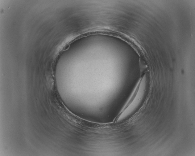 X0000073731363200608241246