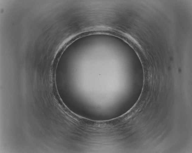 X0000073731364200608241246