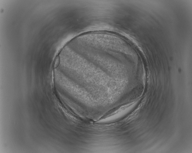 X0000073731366200608241246