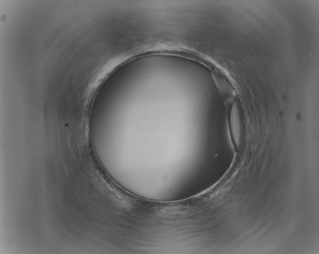 X0000073731367200608241246