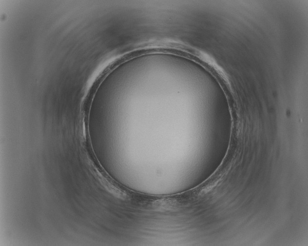 X0000073731368200608241246