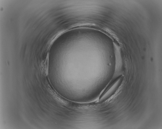 X0000073731369200608241246