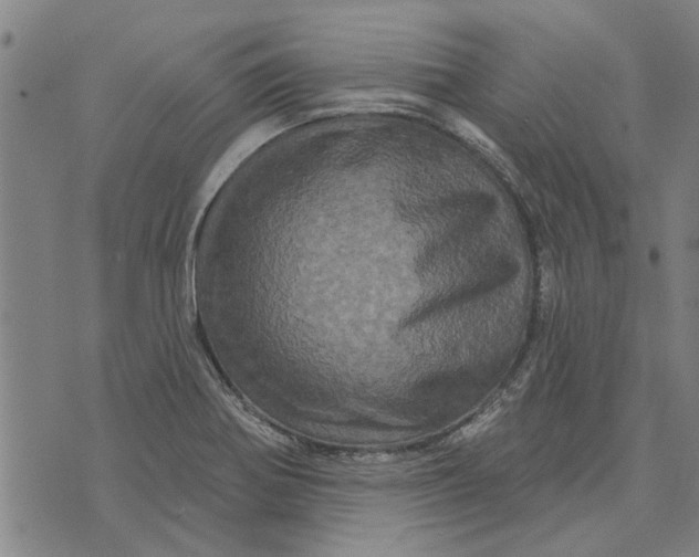 X0000073731370200608241246