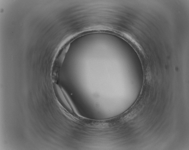 X0000073731372200608241246