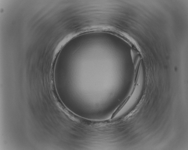 X0000073731373200608241246