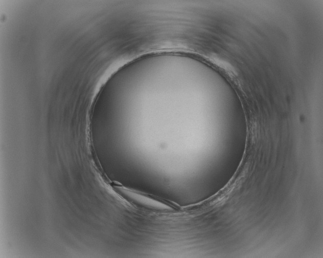 X0000073731374200608241246