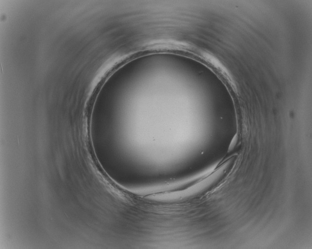 X0000073731376200608241246