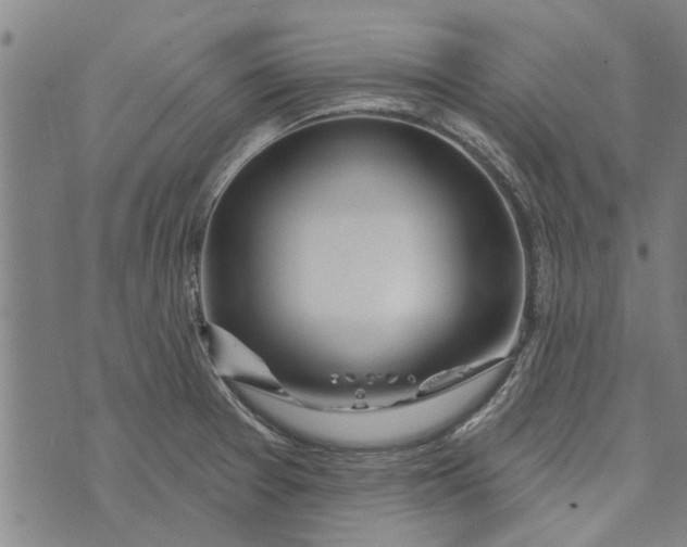 X0000073731377200608241246