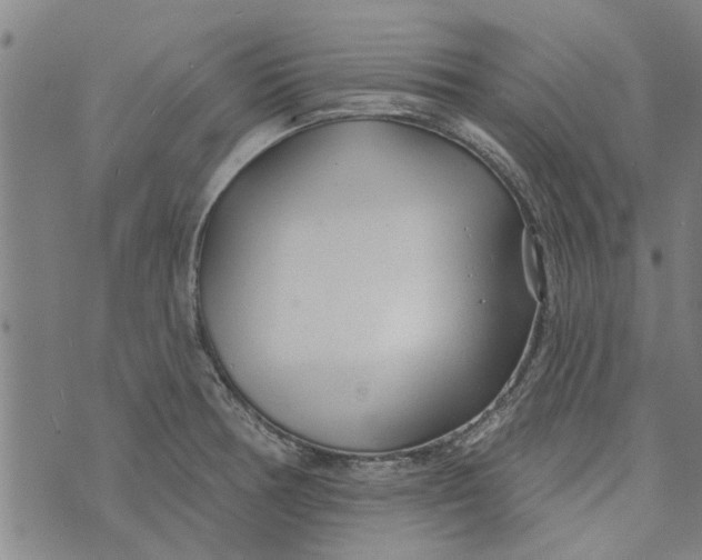 X0000073731378200608241246