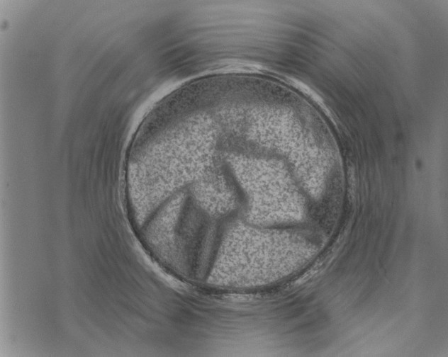 X0000073731379200608241246