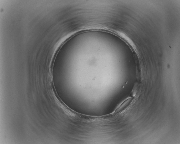 X0000073731380200608241246