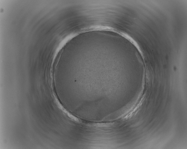 X0000073731381200608241246