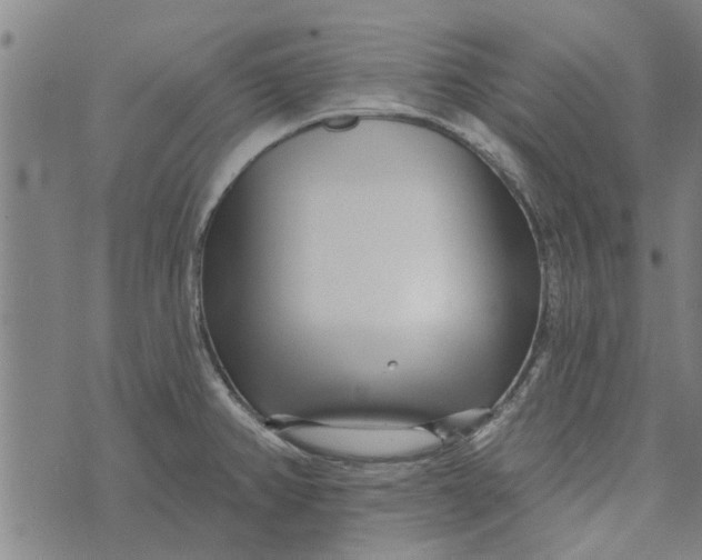 X0000073731382200608241246