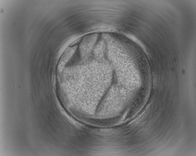 X0000073731383200608241246