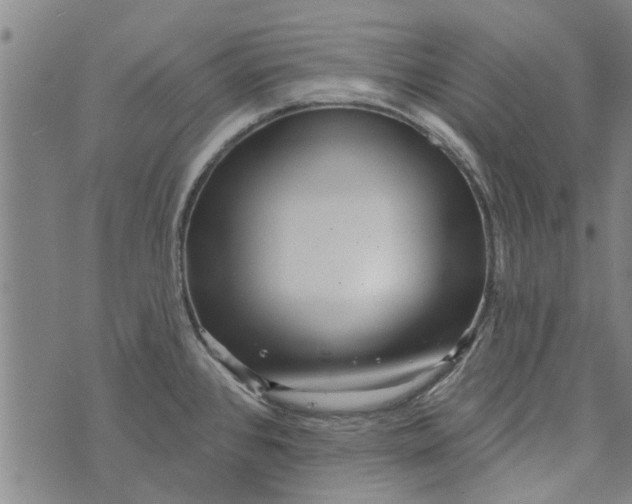 X0000073731384200608241246