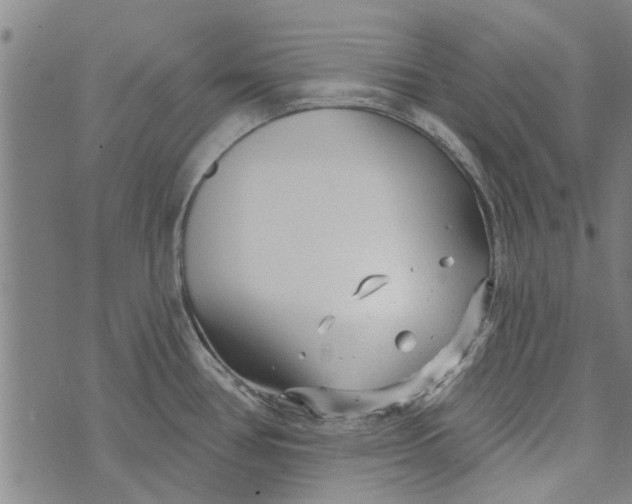 X0000073731386200608241246