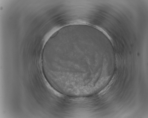 X0000073731387200608241246