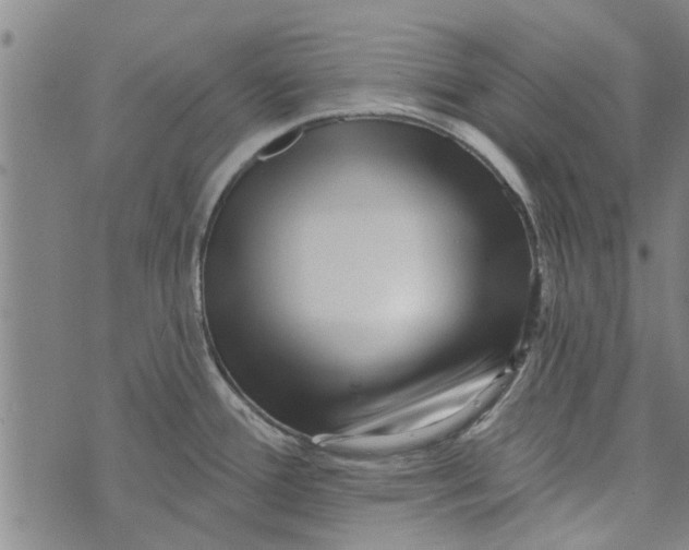 X0000073731388200608241246