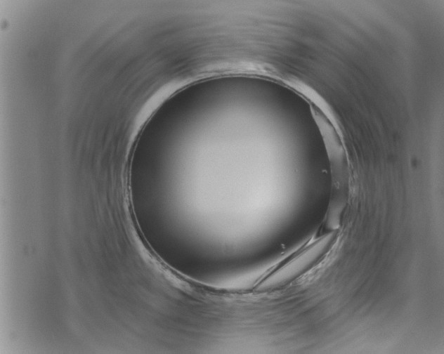 X0000073731389200608241246