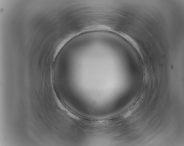 X0000073731390200608241246