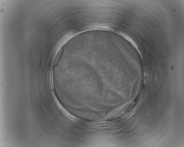 X0000073731391200608241246