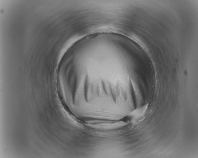 X0000073731392200608241246