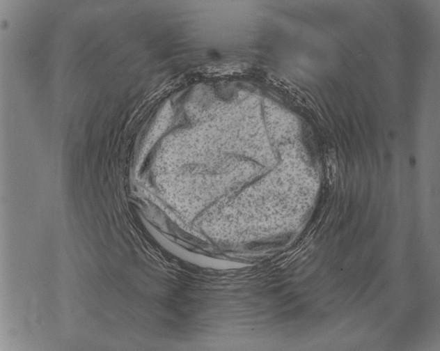 X0000073731393200608241245