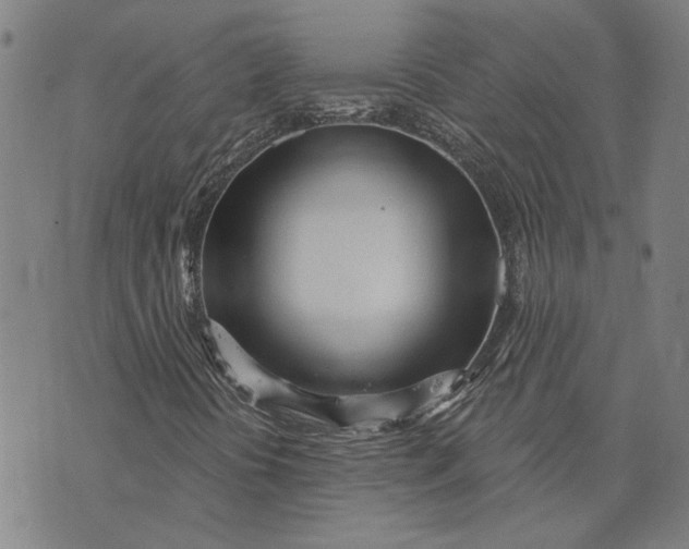 X0000073731394200608241245