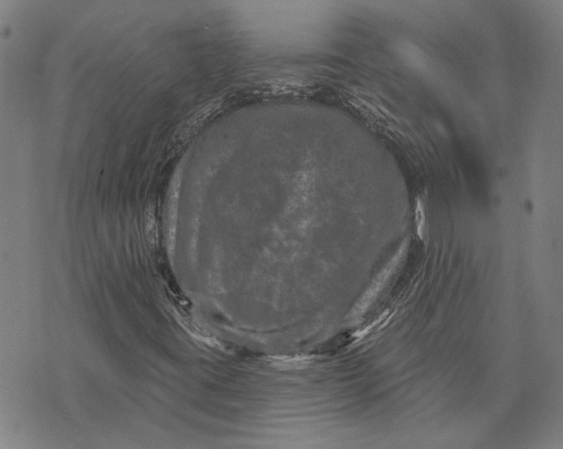 X0000073731395200608241245