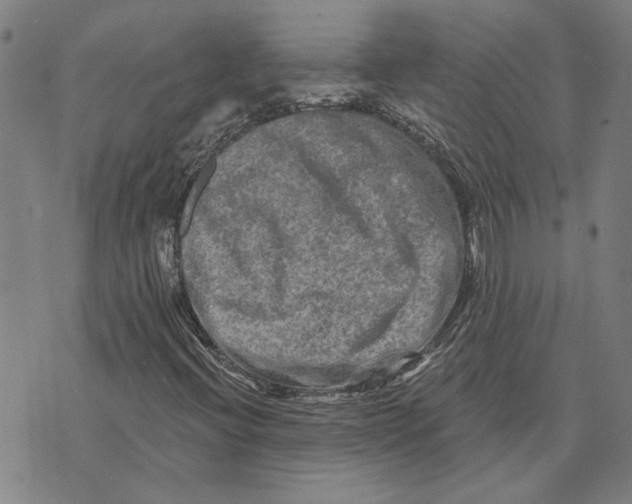 X0000073731396200608241245