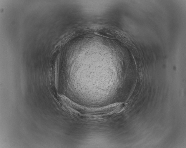 X0000073731397200608241245