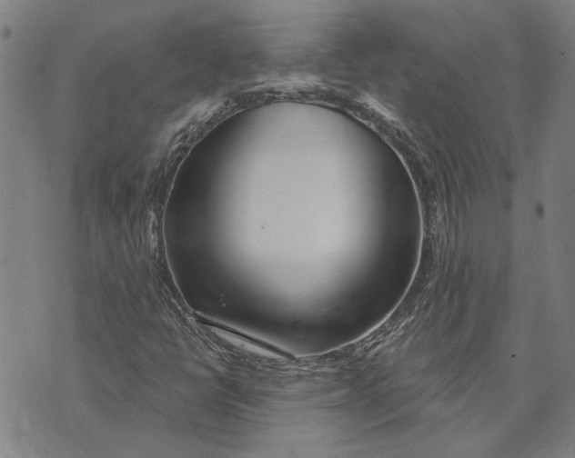 X0000073731398200608241245