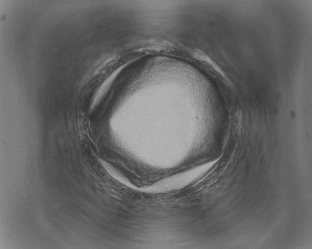 X0000073731399200608241245