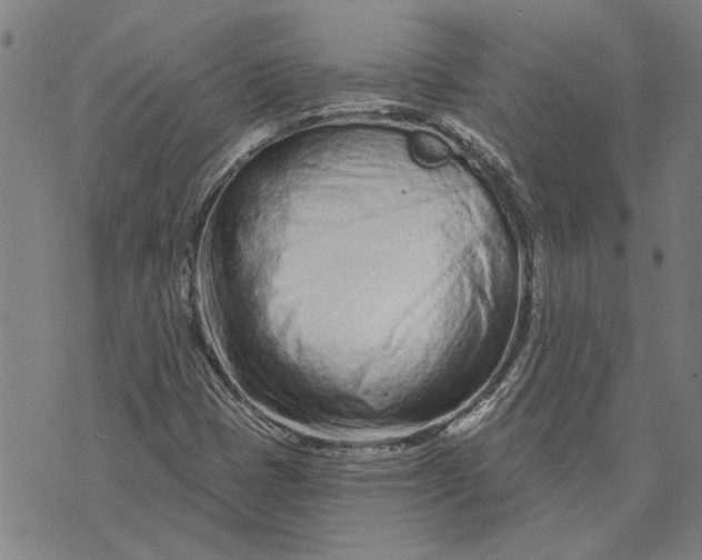 X0000073731401200608241245